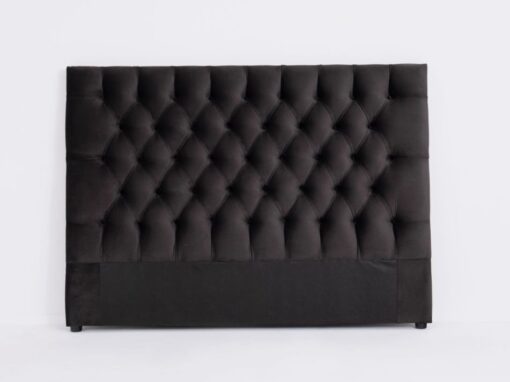 The Ellington – Buttoned