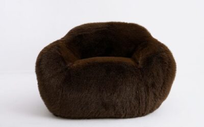 The Snuggles Fluffy Chair